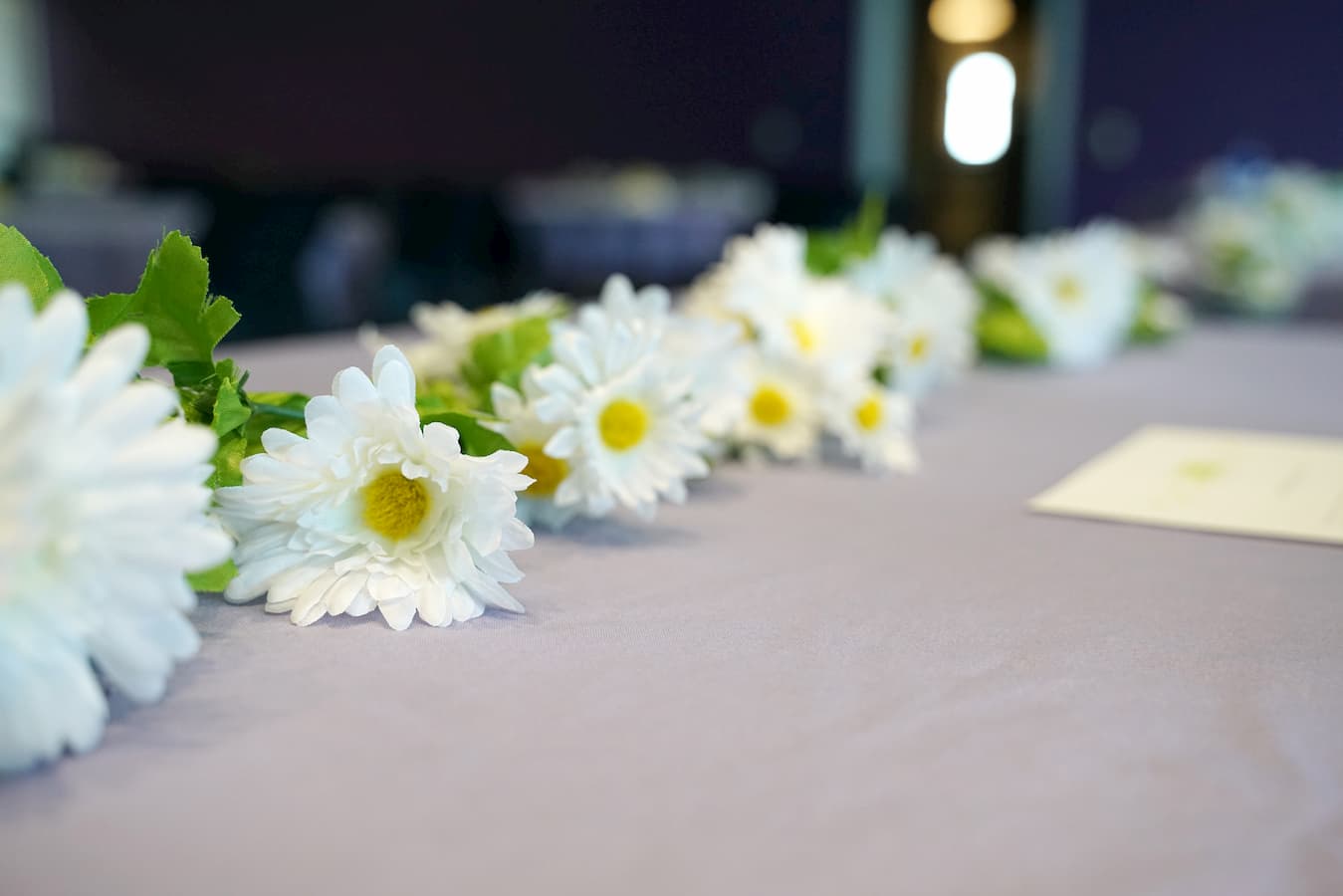 White daisy flowers laying on a table for the DIASY Award celebration.