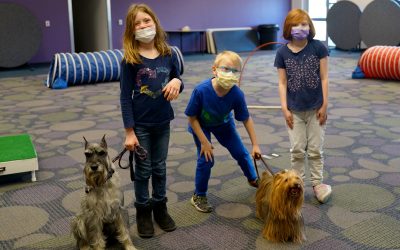 A Day in the Life: The Dogs of ChildServe